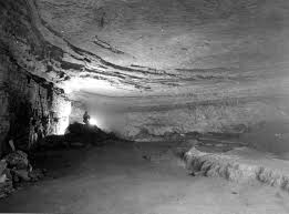 It preserves the world's longest known cave system, with over 392 miles of caves. Mammoth Cave National Park Wikipedia