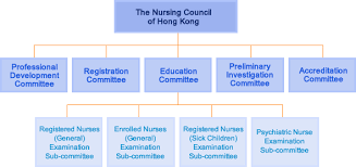 Uae Nursing And Midwifery Council Organizational Chart