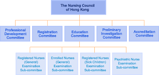 uae nursing and midwifery council organizational chart