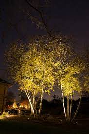 Photos Outdoor Lighting At Its Best