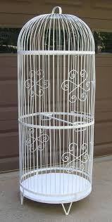 Big Bird Cages For Sale Near Me Vintage Large Round 5 Tall Decorative Thick Round Steel Wire Bird Cage Bird Cage Decor Antique Bird Cages Bird Cages