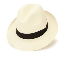 Both hats may be shaped and styled the same. Men S Panama Hats Summer Boaters Straw Sun Hats