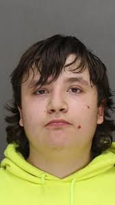 Pittsfield shooting was in response to house being egged, prosecutors say