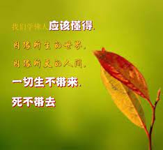 因缘所生的世界 因缘所灭的人间 一切生不带来 死不带去 movie posters poster movies