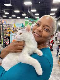 Springfield Kitty Cat...