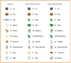 allergies types symptoms causes and test procedures