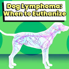Although it's a tough road to travel with your pup, there are things you can do to make his life as happy and healthy as possible. Dog Lymphoma When To Euthanize Dog Leash Pro