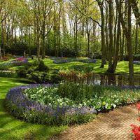 Even The Best Planned Landscapes Can Have Problems With Moisture Accumulation Whether Due To Settling Rain Garden Design Landscape Plans Backyard Landscaping