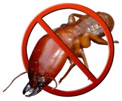 Bug depot | do your own pest control and lawn care with the same products that exterminators use. Create Your Own Diy Termite Treatment Natural Pest Solutions 1 Extermination Company