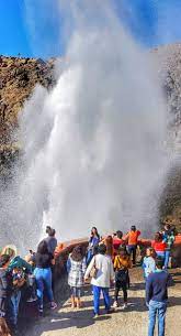 Anyway, what is the big deal about ensenada's fish tacos? Ensenada Excursions Recommendations By Expat And Carnival Cruiser Ensenada Massage Spa