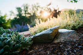 At cclp, our goal is to provide the best selection of quality materials to help you create the. Landscape Architecture Design Pismo Beach Ca Wild Bloom