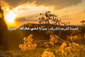 صور أسف واعتذار عبارات أسف واعتذار مكتوبة علي صور Movie Posters Image Pics