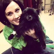 The Unconditional Love of Dogs