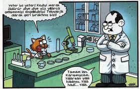 Kediyi Merak Oldurur Karikatur Komik Mizah