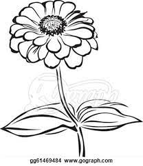 Image Result For Zinnia Flower Drawing Zinnia Flowers Flower Drawing Zinnias