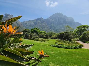 Kirstenbosch National Botanical Garden - Wikipedia
