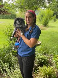 Top keywords % of search traffic. Jlzb11wbpkqspm