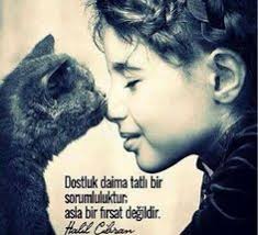 elif kara (elifkara4161)