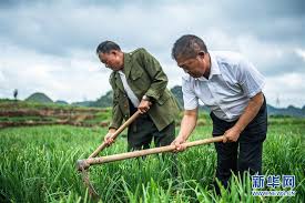 Miao Shouliang Net Worth: A Look At His Fortune