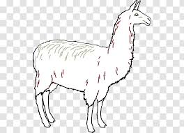 Fixed holographic preview for props drawing through floors or characters on mobile platforms. Llama Alpaca Clip Art Animal Figure Outline Transparent Png