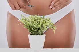 You must maintain pubic hair for yourself on some level right? Britain S Most Popular Pubic Hair Style Is The Brazilian But Blokes Love The Natural Look Bikini Waxer Claims