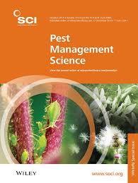 Image result for Lepistemon owariensis