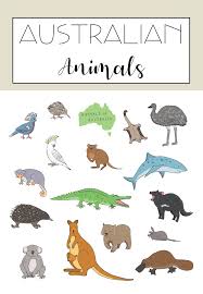 Bildkarten Australian Animals Unterrichtsmaterial Im Fach Englisch In 2020 Australien Tiere Australische Tiere Bildkarten