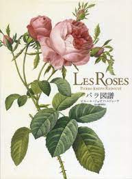 Products of major brands, low prices, new products, we find everything in the catalog of la redoute. ãƒ«ãƒ‰ã‚¥ãƒ¼ãƒ†ã®ãƒãƒ© Redouteã«ã¤ã„ã¦ å…¬å¼æœ¨æ¥½é¤¨ãƒ–ãƒ­ã‚° è¼¸å…¥å®¶å…· é›'è²¨ã®å°‚é–€åº—
