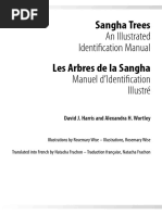 Image result for Allophylus fulvotomentosus