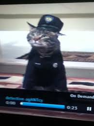 cat in police costume cats funny cats police costume