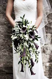 See the links section for the names of several online. Black And White Calla Lily Cascade Bouquet Lily Bouquet Wedding Wedding Bridal Bouquet Fall