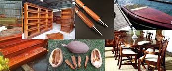 The mahogany tree is found in the tropical rainforest biome. Mahogany Plantation Contract Farming Plant Mahogany Trees Save This Planet Empower Farmers Income Mahogany Tree Fruit What Is A Mahogany Tree Market Value Of Mahogany Tree The Price Of Mahogany Tree Fruit
