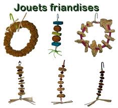 Orlux lori contient tous les éléments nutritifs que les loris et perruches des figuiers trouvent dans les fleurs dans la nature. Epingle Sur Oiseaux Cage