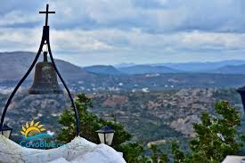 Image result for Tragia kirkiana