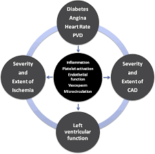 Determinants Of Prognosis In Stable Coronary Artery Disease A Complex Download Scientific Diagram