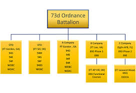 organization chart for the u s army 73rdth ordnance