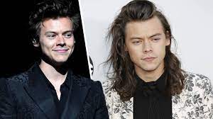 The one time member of one direction, harry styles has gone from tween idol to hair icon in no time at all. Harry Styles Has Long Hair Again Everyone S Freaking Out Capital