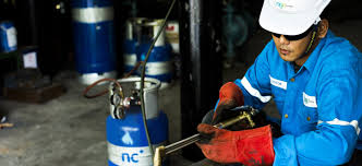 Proven track record with mediocre balance sheet. Ngc Energy A Pioneer In Liquefied Petroleum Gas Lpg Solutions