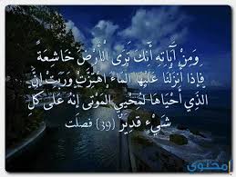 ايات قرآنية عن عظمة خلق الله في الكون موقع محتوى