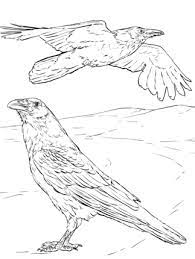 Llll➤ hundreds of printable crow coloring pages and books. Pin On Magic