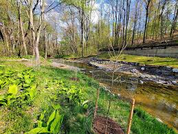 Stream Restoration & Sustainable Outfall Stabilization Program