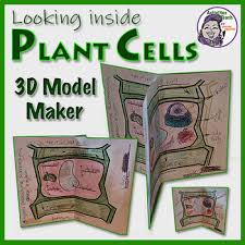 The typical characteristics that define the plant cell include cellulose, hemicellulose and pectin, plastids which play a major role in photosynthesis and storage of starch, large vacuoles. 3d Plant Cell Model Worksheets Teaching Resources Tpt