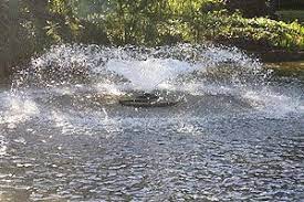 Water Features And Garden Fountains Melbourne