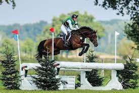 The master rider from münster, germany combines the best horse handling techniques with high performance. Ingrid Klimke Facebook