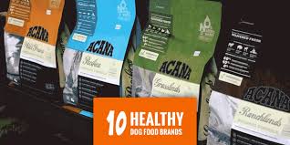 Top 10 Most Popular Healthy Dog Food Brands 2020 Update