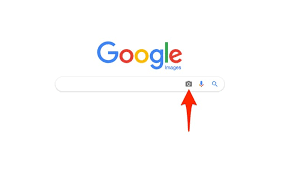 How To Reverse Search An Image On Google With Your Phone Or Computer Business Insider You can use the google image search feature on desktop to upload your own image for which to search, or you can use. to reverse search an image on google
