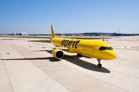 Image result for Dark Yellow Green 2025 Fleet