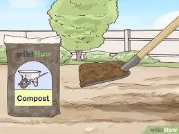 So alex took matters into his own hands. How To Grow A Sustainable Garden With Pictures Wikihow