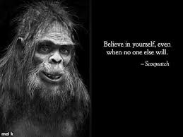 As there is zero real evidence for the existence of bigfoot the study of the beast is considered to be a pseudoscience. Sasquatch Quote Funny Pictures For Kids Sasquatch Funny Funny Quotes For Kids