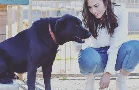 Watch The Best Youtube Videos Online Operim Guzel Kalbinden Hayvanlari Sevelim Koruyalim Sahip Cikalim 1demetozdemir Demet Labrador Retriever Animals Dogs